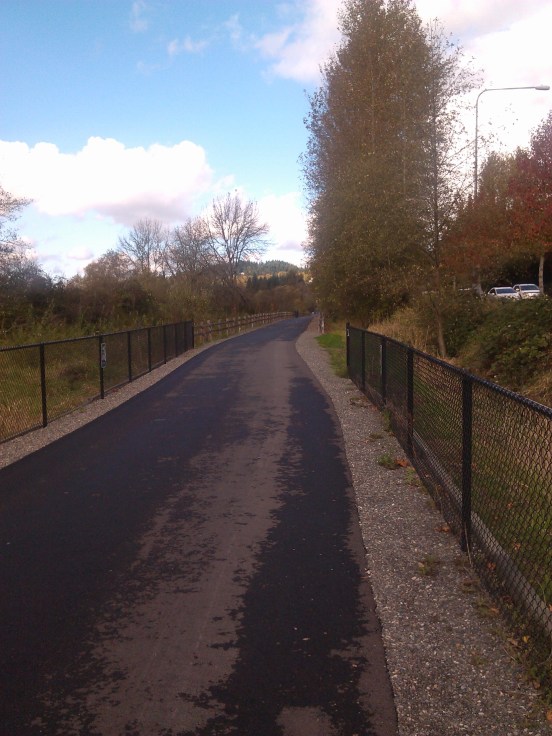 The County claims it has to remove trees in favor of preserving wetlands and it can't adjust the alignment to save trees. Aside from the fact that the "wetlands" at "risk" in Sammamish are by-and-large nothing more than drainage ditches, this view in the 4000 Block of ELST demonstrates the county can and did adjust the alignment. It begins with a one foot jog and deviates two feet at the far north end. Looking north.