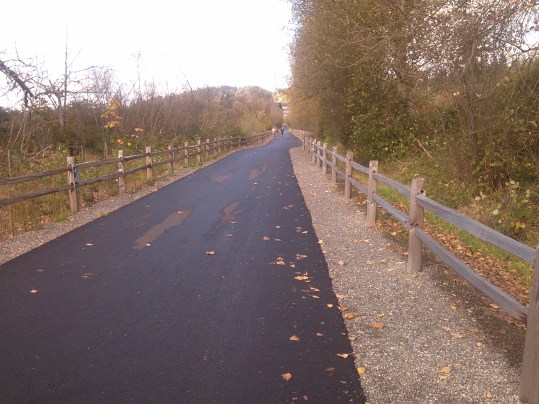 The trail alignment takes a sharp jog of about two feet to avoid trees--but into a wetland. And the county says it can't do anything about alignments. Looking south in the 4000 block of East Lake Sammamish Parkway in Issaquah.