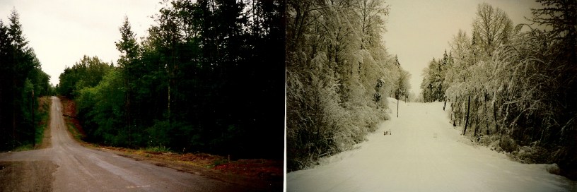 SE8th Sammamish 19960002