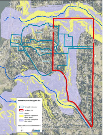 The Tamarack subdivision in Sammamish has been adversely impacted by stormwater runoff from uphill development.